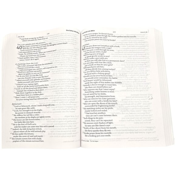 The Daily Life Bible LARGE PRINT EDITION Easy To Read Common English Bible - Picture 13 of 16